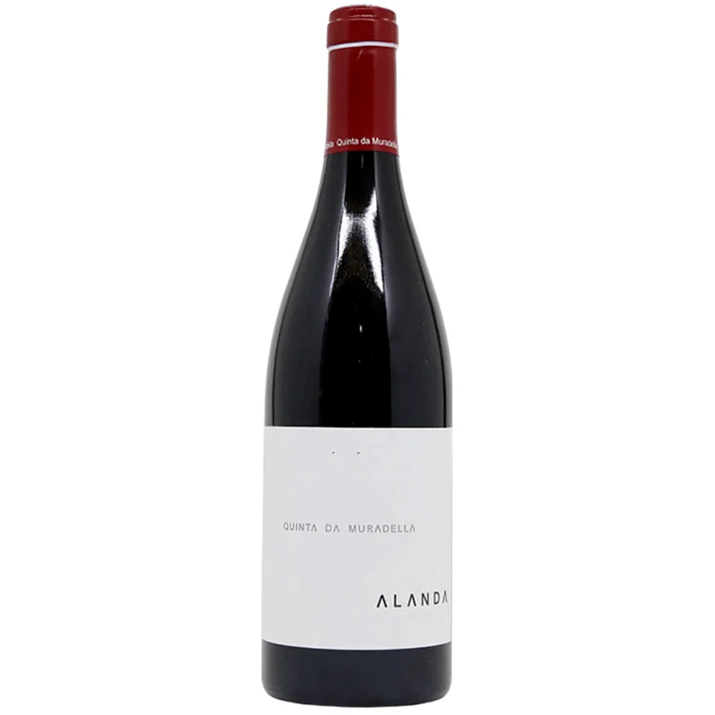 mrdwine2835963