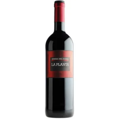 mrdwine2839251