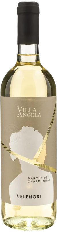 xtrawine2831644