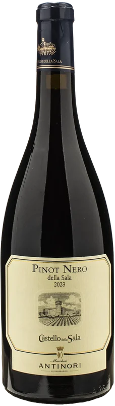 xtrawine2832635